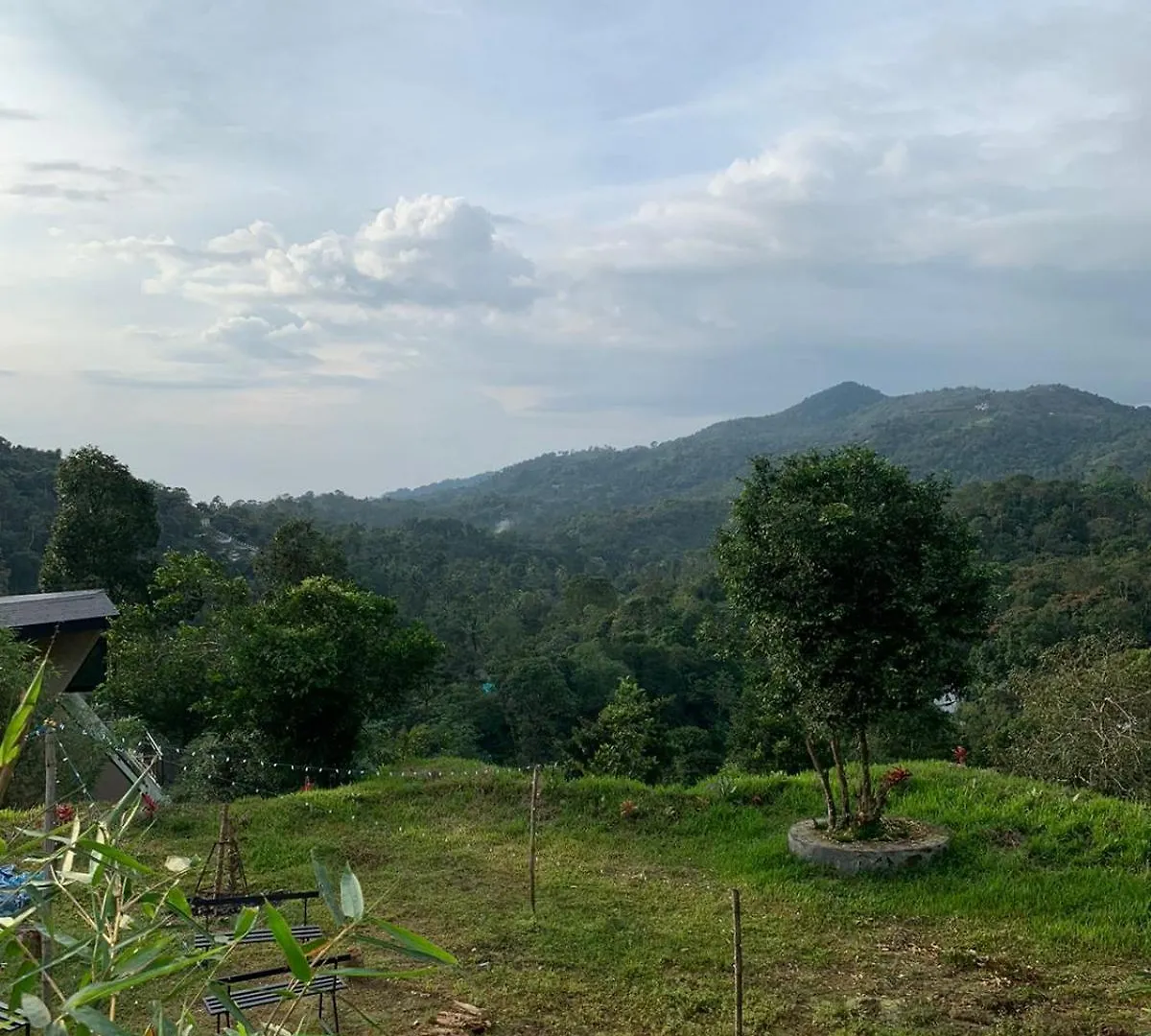 Misty Hideout Bed & Breakfast Kakkadampoyil