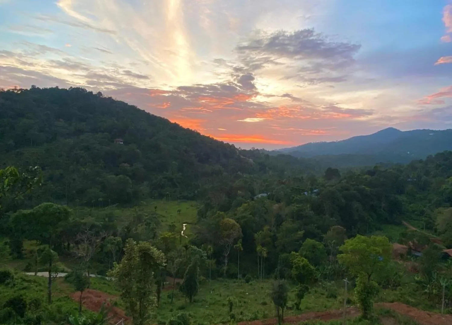 Misty Hideout Bed & Breakfast Kakkadampoyil