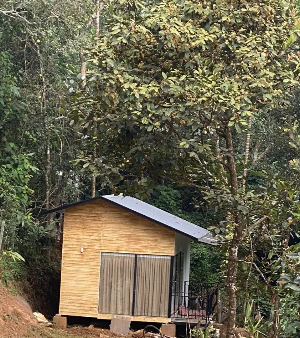 Misty Hideout Bed & Breakfast Kakkadampoyil